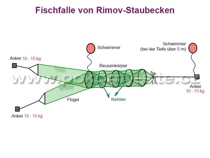 Bild von Fischfalle von Rimov-Staubecken, Ring 0,9 m 